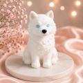 🐺 Husky – The loyal snow friend