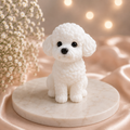 🐩 Poodle – The Little Darling