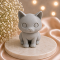 🐈 Velvet Paws – A Little Heart on Quiet Paws